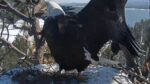 Video thumbnail for youtube video nabyg0iq-zo