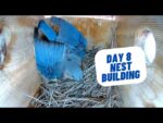 Video thumbnail for youtube video o2e4ylappzy
