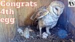 Video thumbnail for youtube video vtqet3hnm-a