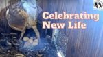 Video thumbnail for youtube video zvbfyexbdfe