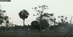 swfl e21 fledges