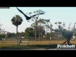 Video thumbnail for youtube video ulvplbtmjg4