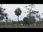Video thumbnail for youtube video iklz06qeomc