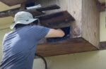 florida barn owl outside the nest boxes