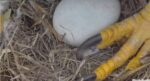 swfl hatch watch