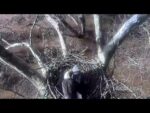 Video thumbnail for youtube video alc9b7wh-ny