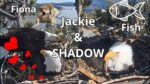 Video thumbnail for youtube video ex-mnycuy7a