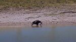 e23 plays in the pond