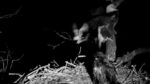 Video thumbnail for youtube video fd7edacvqi0