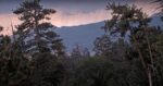 big bear eagles line fire