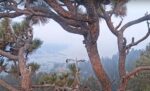 big bear eagles line fire