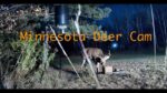 Video thumbnail for youtube video -isy-6qqtam