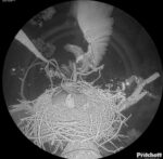 IMG_6930-1734097337.2705