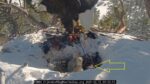 big bear 3rd eaglet passes