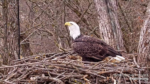 Zrzut-ekranu-56790