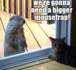 mousetrap