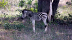 Zrzut-ekranu-56962