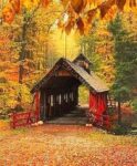 covered-bridge