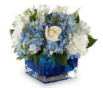 Flowers-a