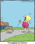 In-the-Bleachers-11-18-jogging