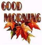 g-m-d