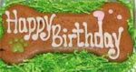 z-dog-birthday-2