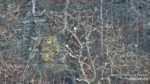 Screenshot-2025-11-22-111804