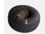 2025-11-24-11_17_40-Cattasaurus-_-The-Worlds-Most-Fun-Versatile-Cat-Caves