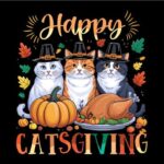 T-giving-cat2