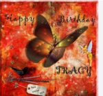 Tracy