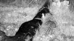 Zrzut-ekranu-57238