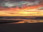 sunrise