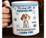 adopt
