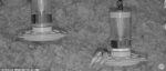 Screenshot_1