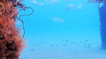 Screenshot-1344