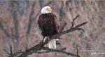 12-5-25