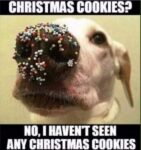 C-mas-Cookies