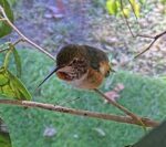 IMG_1776