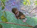 IMG_1777