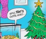 C-mas-StarFish