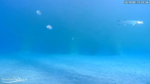Screenshot-2254