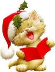 fun-cat