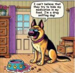 drug-dog