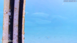 Screenshot-2516