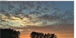 feathercloud