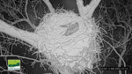 Screenshot-1045