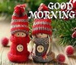 g-morning-d
