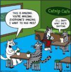 RobReiner-catnip