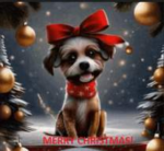 Merry-Christmas-Puppy