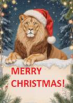 Santa-Lion